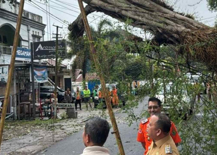 Hujan Deras dan Angin Kencang Terjang Muba, Pohon Tumbang Timpa Ruko di Jalan Utama!