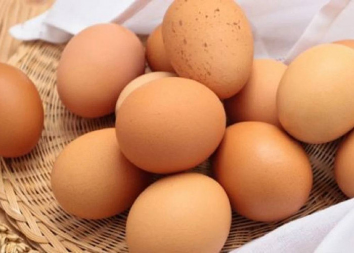 Harga Telur di Kota Ini Sedang Turun