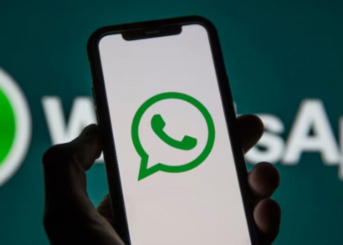 Cara Cepat Hapus Foto dan Video di Grup WhatsApp: Panduan Android dan iPhone