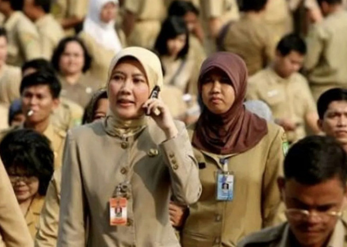 PPPK Tidak Perlu Cemburu, UU No 20 Tahun 2023 Memberikan Jaminan untuk ASN di Indonesia