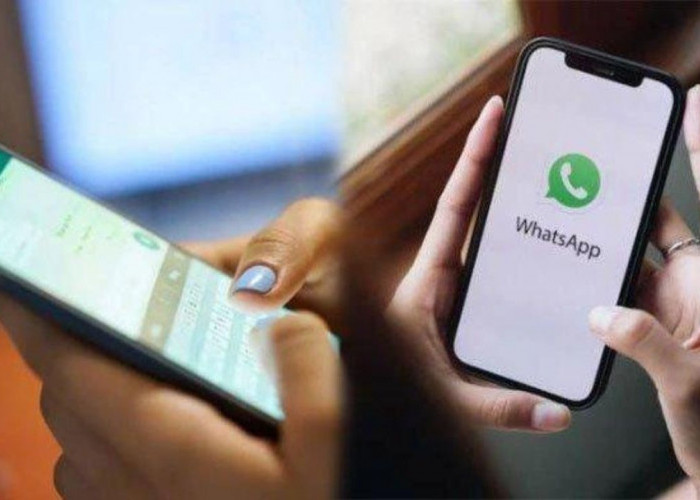 Terjebak Penipuan WhatsApp? Ini Langkah-Langkah yang Harus di Lakukan