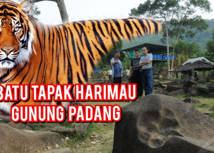 Penemuan Tapak Kaki Harimau di Situs Gunung Padang Mengguncang Dunia Arkeologi