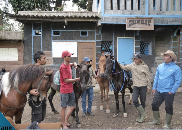 Heboh! Kampung Koboi Tugu Selatan Jadi Magnet Wisata Baru, Bukti Desa BRILiaN BRI Ubah Ekonomi Warga