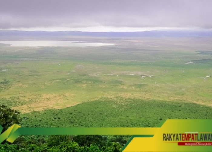 Ngorongoro Tanzania, Surga Satwa Liar di Kawah Vulkanik Raksasa