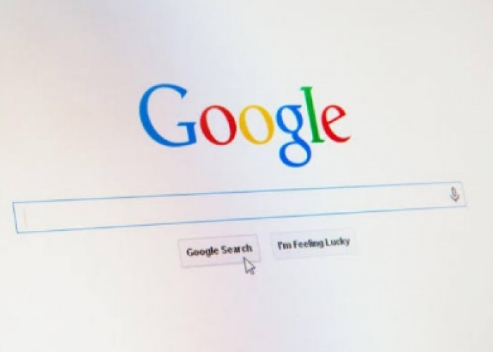 Tak Harus Google! Berikut Rekomendasi Search Engine Selain Google