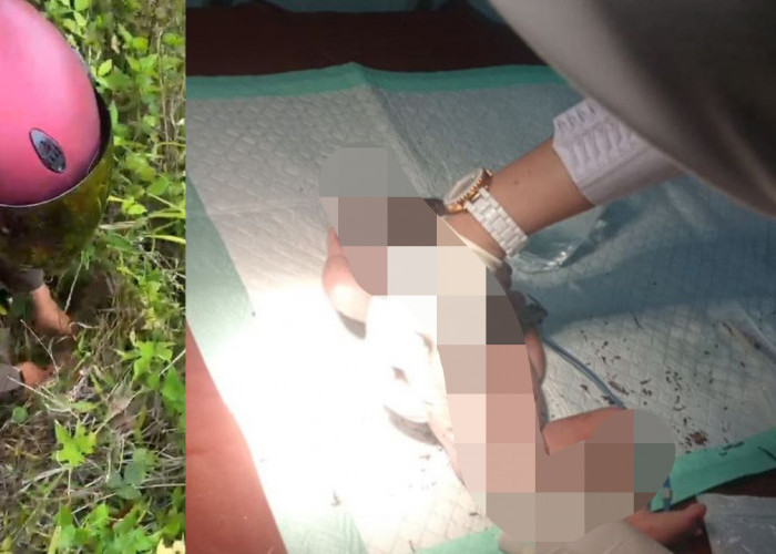 Kondisi Bayi Malang, yang Ditemukan di Semak-semak, Masih Dirawat di Inkubator RSUD Lakukan Perawatan Intensif