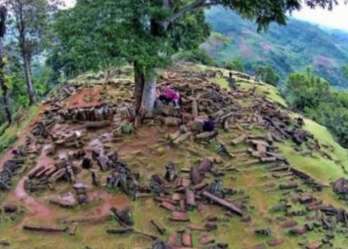 Menelusuri Jejak Megalitikum di Padang Roco: Menguak Keajaiban Arkeologi yang Menyimpan Misteri