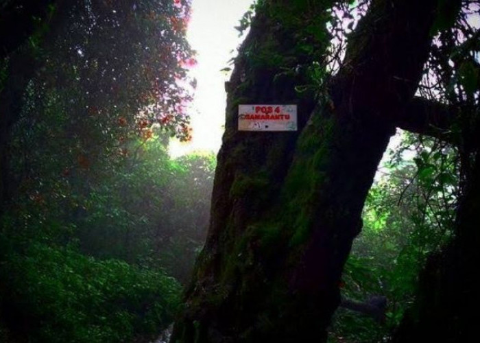 Pos Semarantu: Gerbang Spiritual di Gunung Slamet Pulau Jawa