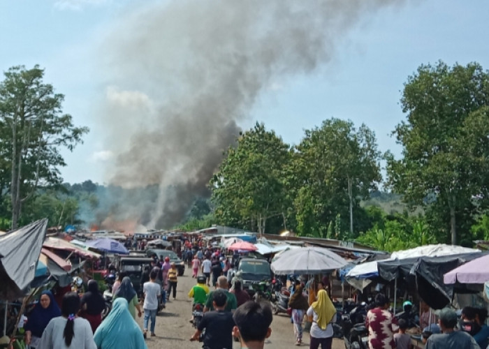 Data Lengkap Korban Kebakaran Pasar Pulo Mas, Empat Lawang: Puluhan Pedagang Kehilangan Mata Pencaharian