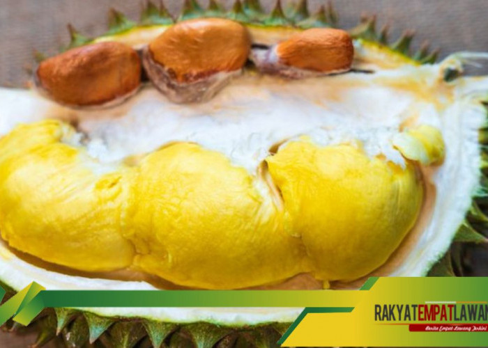 Jaga Kesehatan Tulang dan Gigi dengan Durian: Kekayaan Kalsium dan Fosfor