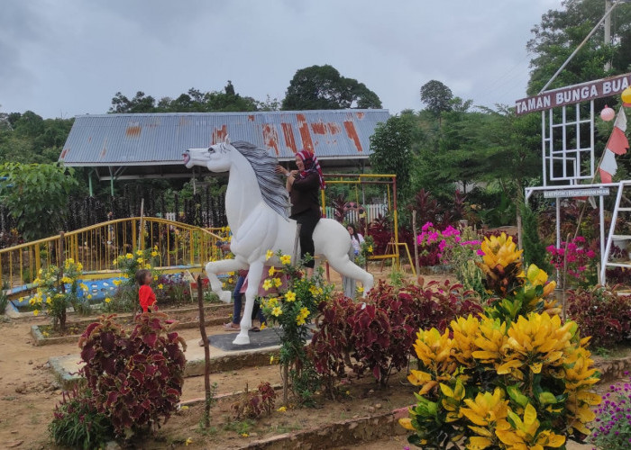 Butuh Healing?, Ini Dia Rekomendasi Lokasi Wisata Pilihan di Kabupaten Empat Lawang 