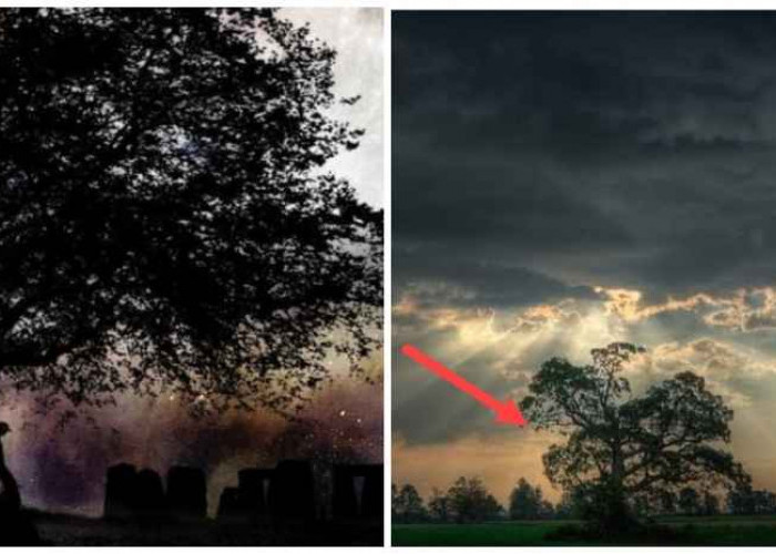 Cerita Dukun Sakti dan Cahaya Kilau Pohon Roh: Kisah Mistis dari Jawa Barat