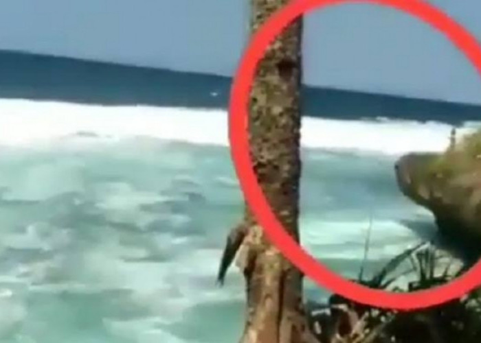 Sensasi Misteri dan Keindahan Pantai Bersatu di Ratu Pantai Selatan, Kok Gini?
