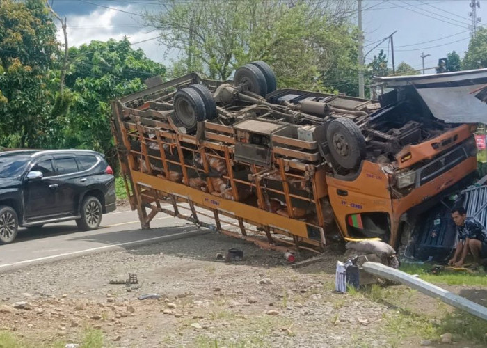 Terjungkal, Hindari Kucing Nyebrang, Truk Ekspedisi Cargo Tabrak Rumah Warga