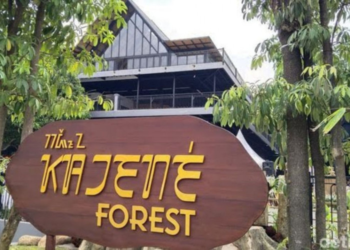 Kajene Forest: Destinasi Wisata Baru di Kabupaten Kuningan Unik Hutan Di Tengah Kota