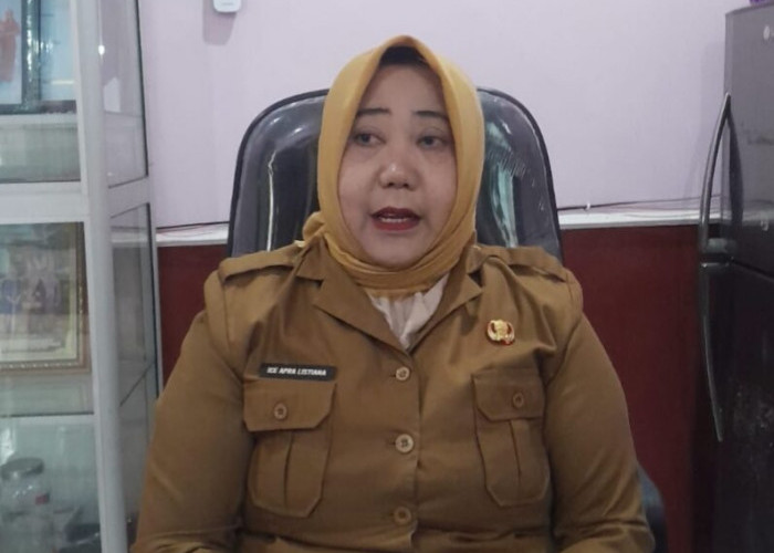 DP3A Empat Lawang Tangani 26 Kasus Kekerasan terhadap Perempuan dan Anak 2026, Korban Diminta Berani Melapor