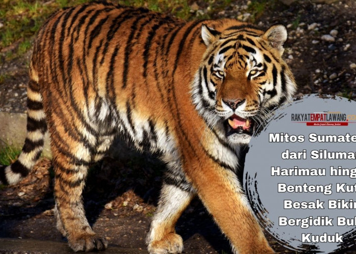 Mitos Sumatera: dari Siluman Harimau hingga Benteng Kuto Besak Bikin Bergidik Bulu Kuduk