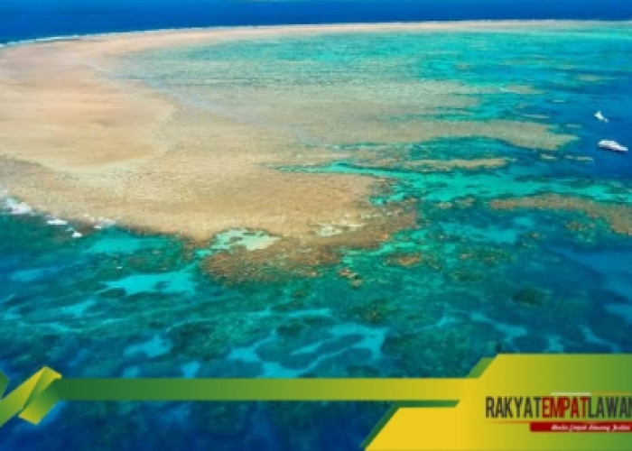 Great Barrier Reef: Surga Bawah Laut yang Wajib Lo Jelajahi!