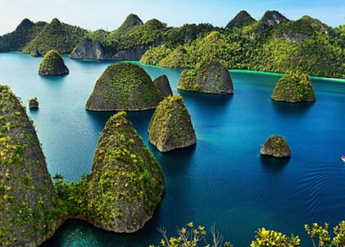 Kepulauan Raja Ampat: Surga Bawah Laut Papua Barat