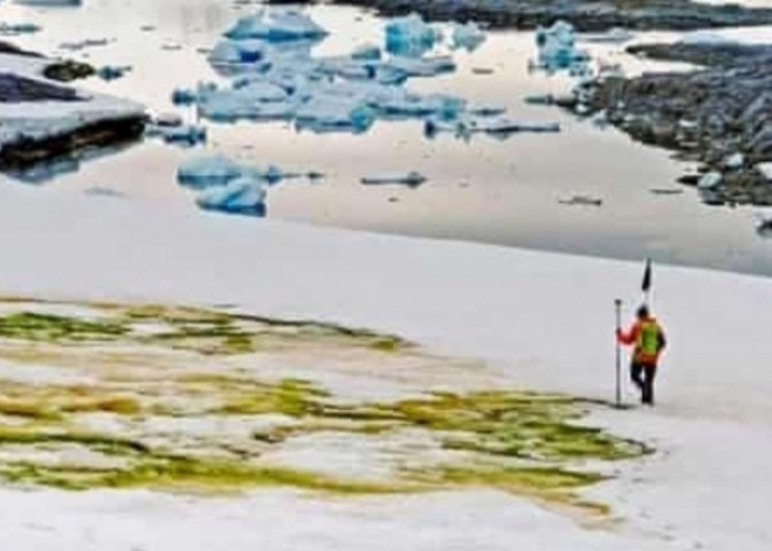 Misteri Benua Es Antartika: Eksplorasi dan Penemuan Terbaru
