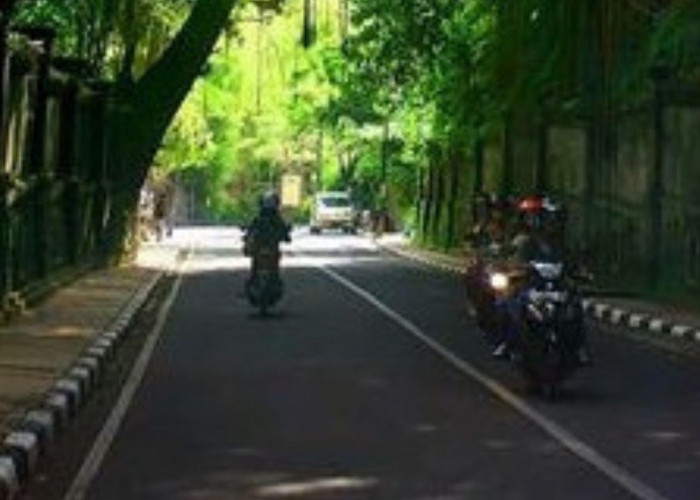 Kisah Mistis di Jalan Raya Tjampuhan Ubud Bali, Kisah Pertemuan Misterius dengan Arwah Dewi