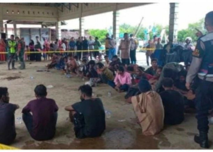 Bukan Mengungsi, ini Motif Warga Rohingya Datang ke Aceh Hanya Mencari Pekerjaan