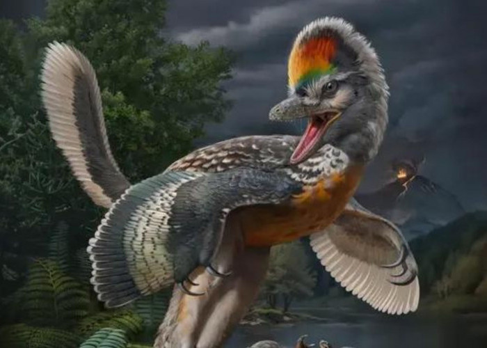 Fujianvenator Prodigiosus: Burung Dinosaurus Mirip Burung dengan Kaki Panjang