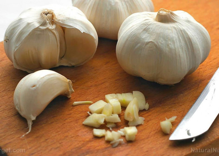 Rahasia Ajaib Bawang Putih, Obat Alami dari Dapur yang Jarang Diketahui!