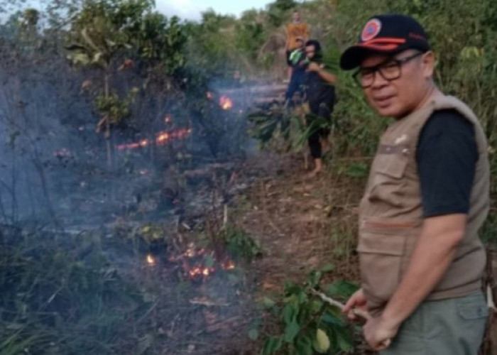 Kebakaran Hebat Landa Kebun Sawit di Empat Lawang, 20 Hektare Hangus Terbakar