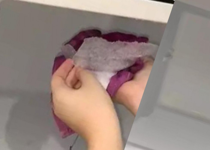 Begini Trik Mudah Membersihkan Bunga Es Freezer dengan Satu Bumbu Dapur