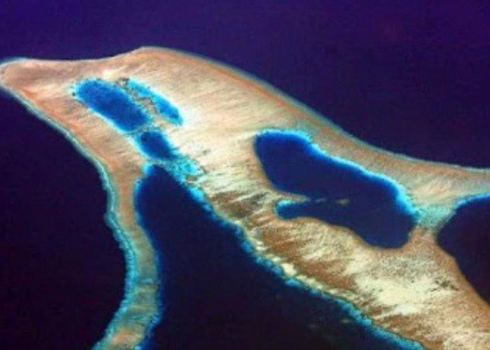 Keunikan Pulau Lumba-lumba: Pesona Bentuk yang Mirip Mamalia Laut Cerdas