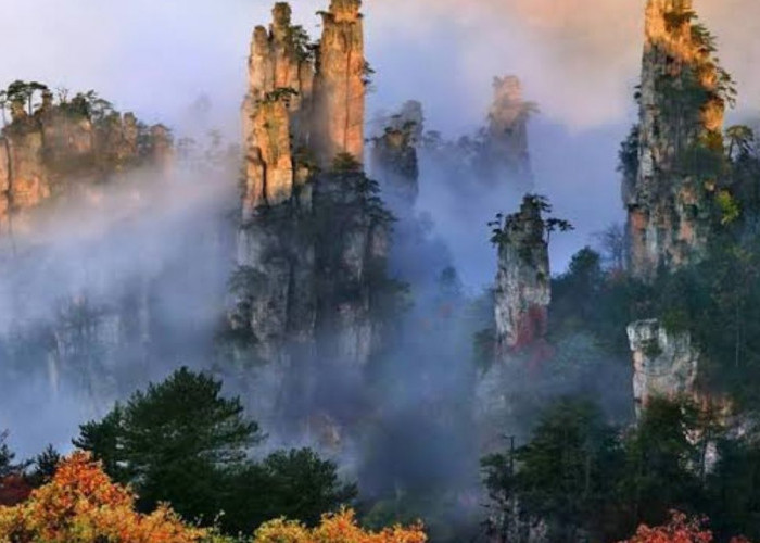 Mengenal Keunikan Flora dan Fauna Tianzi Mountain: Surga Hijau di China