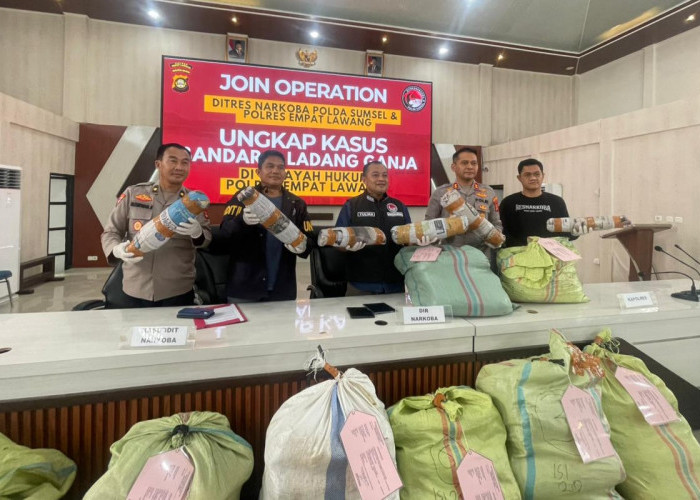 Dirresnarkoba Polda Sumsel dan Polres Empat Lawang Bongkar Bandar dan Ladang Ganja 3 Hektar