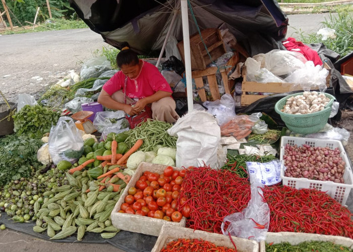 Cabai dan Bawang Berangsur Naik