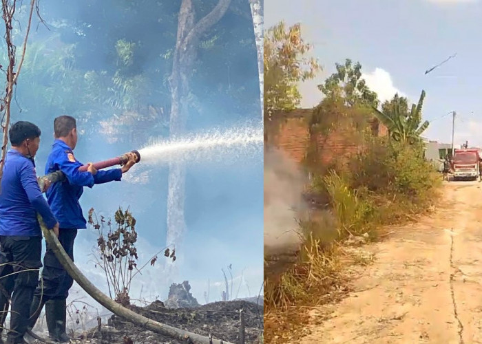 3 Hektare Lahan Terbakar di Perumnas Ajib Empat Lawang, Damkar Bergerak Cepat Cegah Api Merambat ke Permukiman