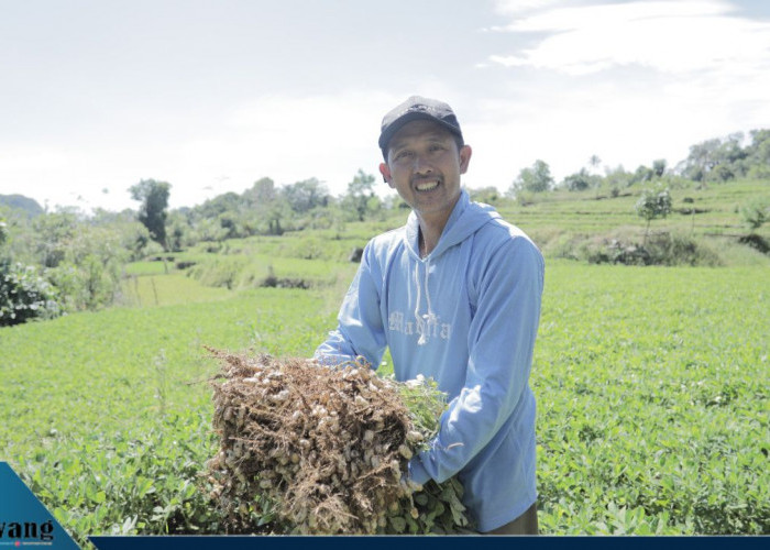 Hebat! Desa BRILiaN Tompobulu Jadi Bukti Nyata Sinergi Potensi Lokal dan Digitalisasi Dongkrak Ekonomi Desa