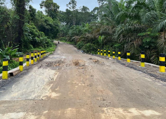 Baru Dibangun, Jembatan di Sungai Keruh Muba Sudah Rusak, Warga Kecewa