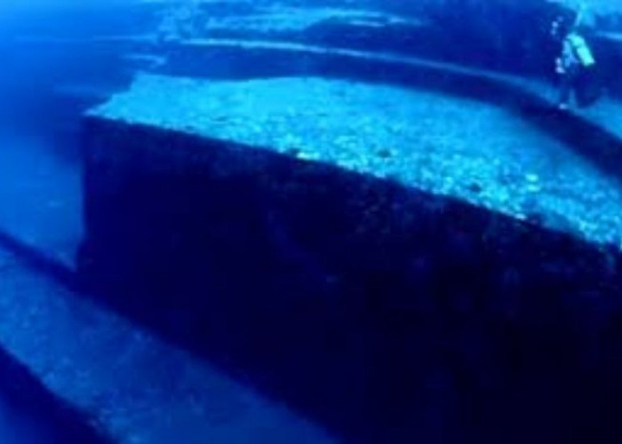 Misteri Tembok Raksasa di Dasar Laut Papua: Eksplorasi dan Teori Terkait