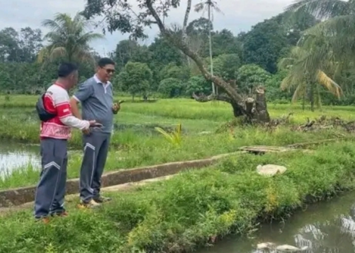 Kalapas Kelas IIB Empat Lawang Kontrol Lahan SAE untuk Dukung Kemandirian Warga Binaan