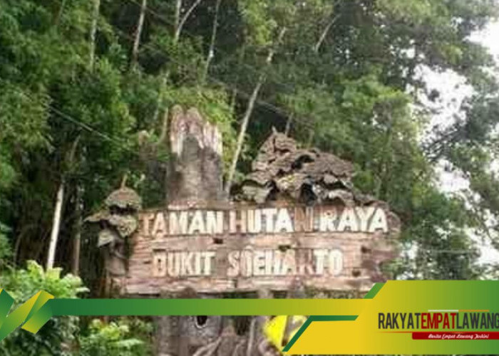 Eksplorasi Misteri: Deretan Cerita Horor dari Bukit Soeharto, Kalimantan Timur