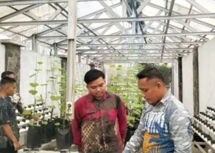 LAPAS Empat Lawang Lakukan Perawatan Tanaman Melon untuk Dukung Program Ketahanan Pangan