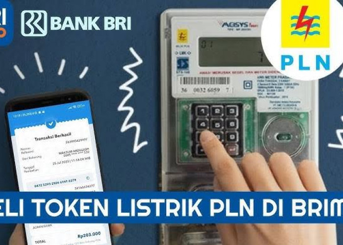 Solusi Cerdas Ibu Rumah Tangga di Empat Lawang: Beli Token Listrik Praktis Lewat BRImo