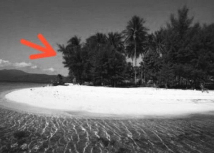 Pulau Penyihir: Penelusuran Keberadaan Pulau Jawa yang Hilang