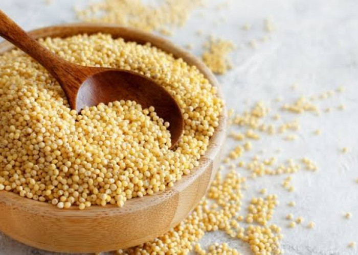 Rahasia MPASI, Millet, Superfood yang Cocok untuk Bayi Baru Lahir?