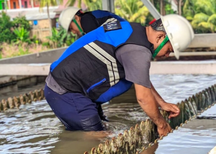 Perumda Tirta Raja OKU Lakukan Pengurasan Berkala WTP Sepanjang Februari 2025