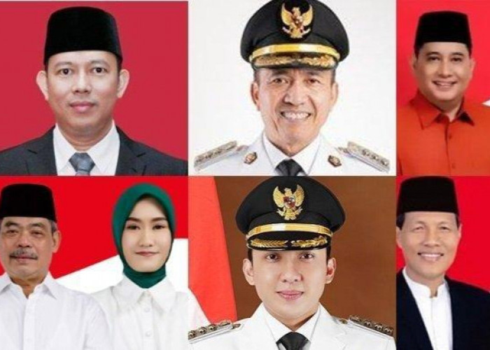 Daftar 9 Bupati dan Wali Kota di Sumsel yang Tidak Akan Dilantik pada 6 Februari 2025