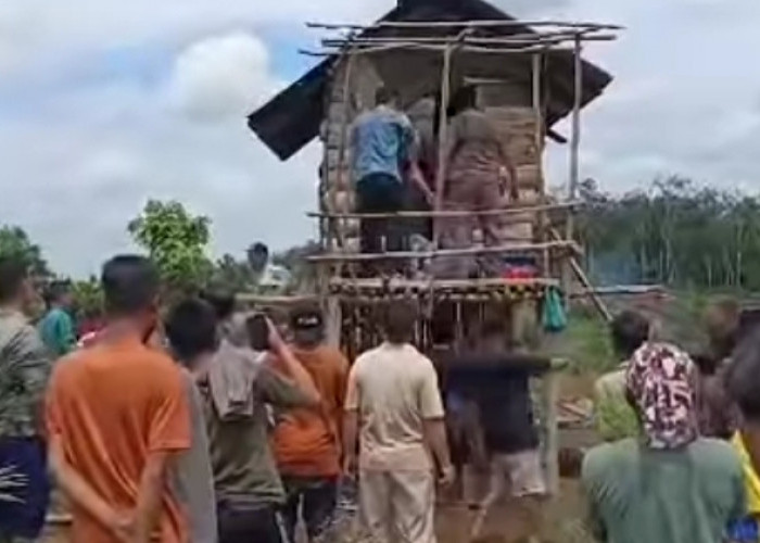 Heboh Di Media Sosial Anak 4 Tahun Jadi Korban Penyanderaan korban Berhasil Selamatkan