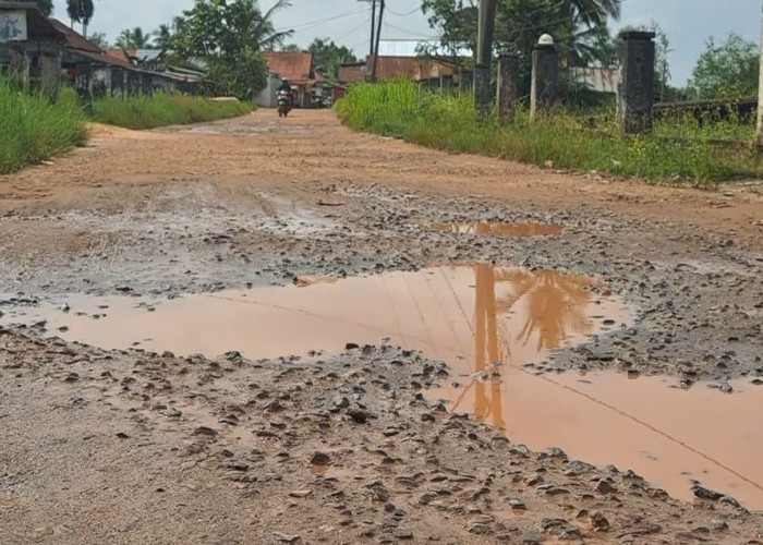 Warga Teluk Kemang Keluhkan Jalan Rusak, Harap Pemerintah Segera Bertindak