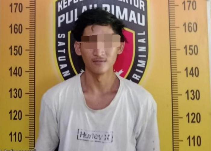 Ringkus Pelaku Pencurian Gardan Truk dan Dua As Payung di Banyuasin