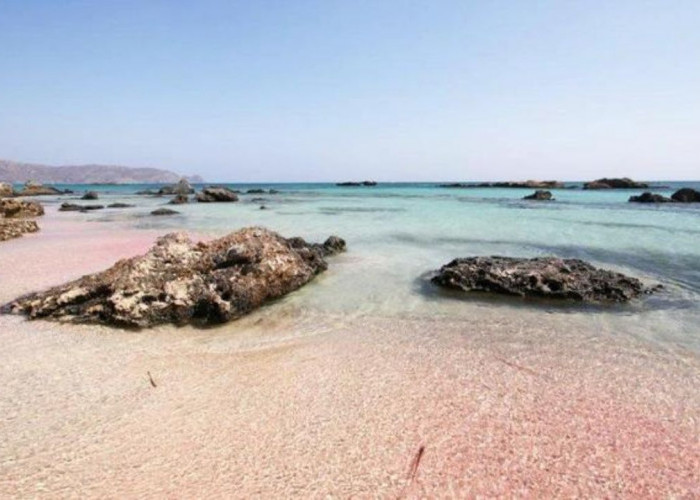 Pantai Pink Sands di Harbour Island, Bahama: Keindahan Pasir Merah Muda yang Memukau